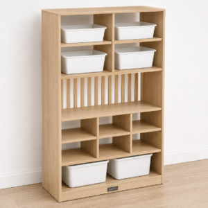 Cubby Organizer Shelf