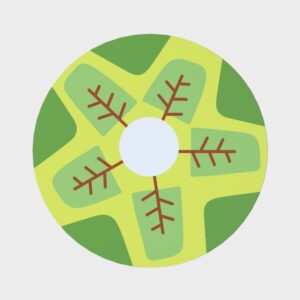 Forest Learning Rug