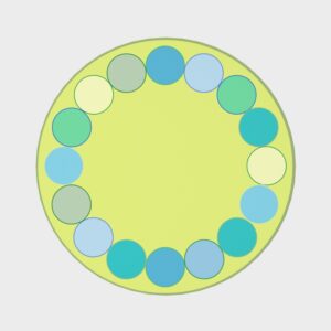 Circle Gathering Rug
