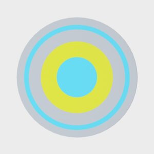 Focus Circle Rug